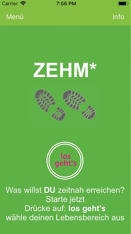 ZEHM*