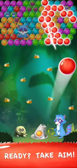 Game screenshot Bubble Raccoon Shooter mod apk