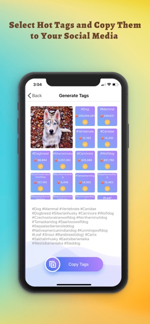 Likes Smart Captions & AI Tags(圖2)-速報App