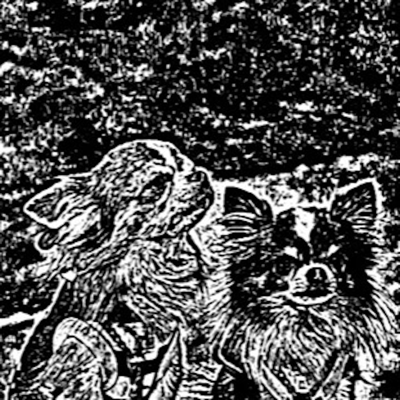 写真・画像を木版画風に加工！