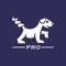 The professional version of the Cork Hounds application is Ad-Free, and will house future unique enhancements
