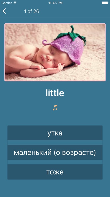 Английский 3 класс Lite screenshot-7