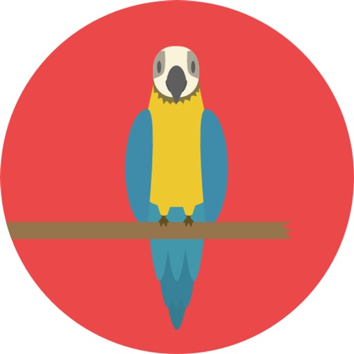 Training-Parrot-Training