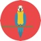 Training-Parrot-Training is the best app to train your parrot in 30 days