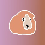 Cavy Home