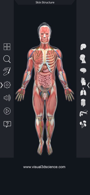 Human Anatomy(圖3)-速報App