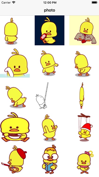 Dynamic little yellow chicken