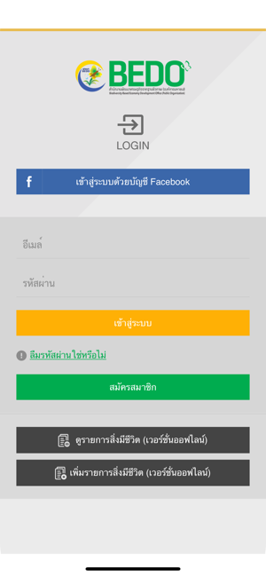 BEDO4Thai