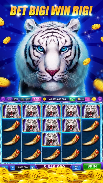 Slots-Heart of Diamonds Casino screenshot-5
