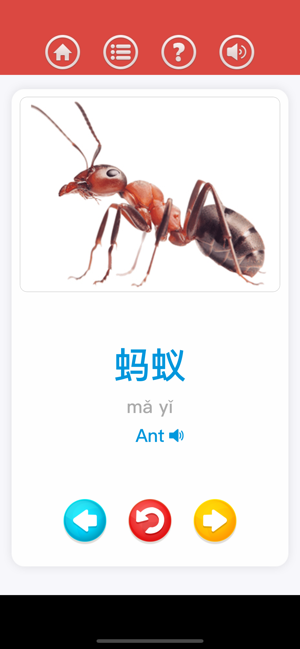 Chinese for beginner(圖2)-速報App