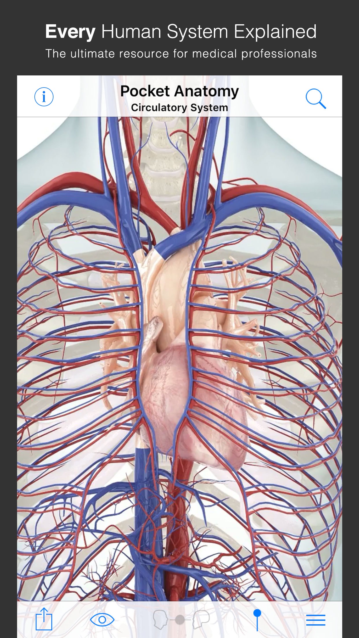 Screenshot do app Pocket Anatomy.