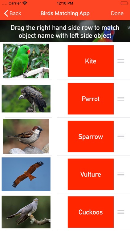 Birds Matching App screenshot-3