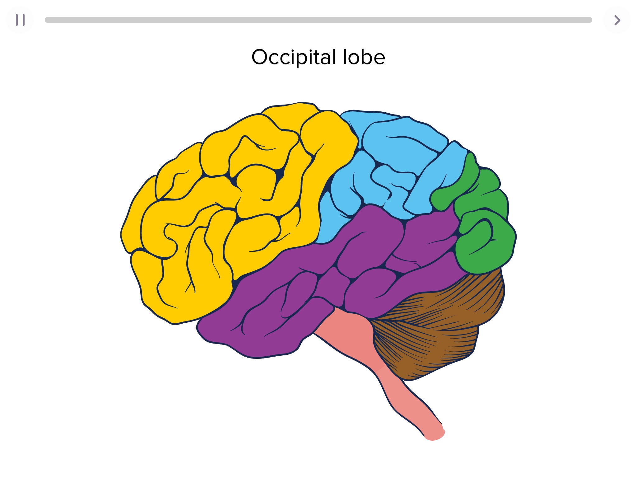 Biology Longtail Education screenshot 3