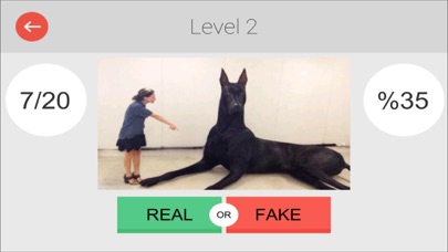 Real or Fake: Photo Game screenshot 2