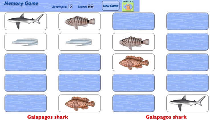 Memory Game Fish