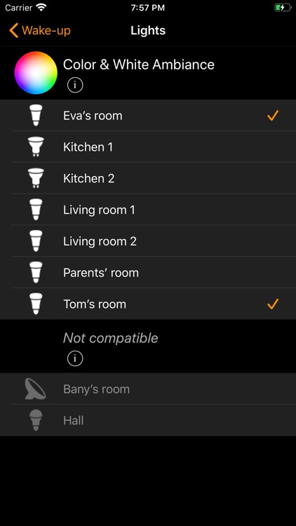 Wake-ups for Philips Hue screenshot-4