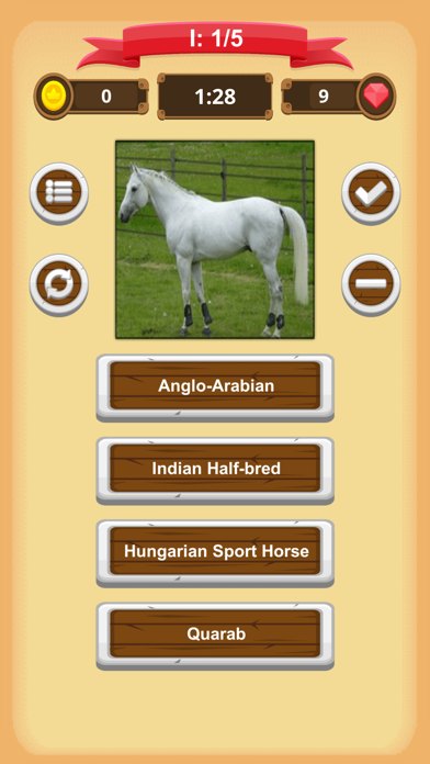 Horse Quiz screenshot 3