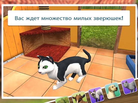 Игра Pet World Премиум