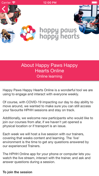 Happy Paws Happy Hearts Online screenshot 2