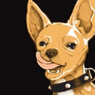 Top 15 Entertainment Apps Like Chihuahua Cerveza - Best Alternatives