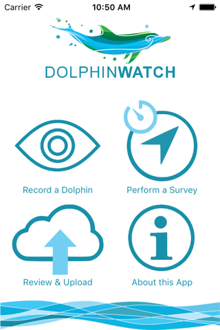 Dolphin Watch screenshot 2