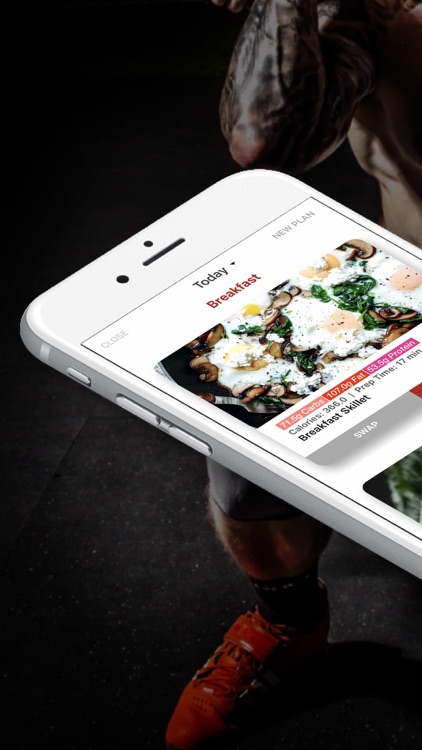 BULK: Workout & Meal Plans