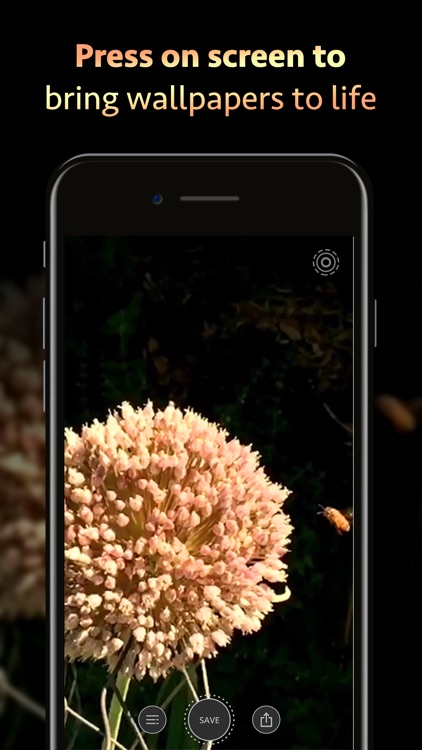 10000+ Wallpapers & Themes screenshot-3