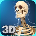 Top 30 Medical Apps Like My Skeleton Anatomy - Best Alternatives