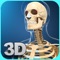 My Skeleton Anatomy app for studying skeleton anatomy which allows you to rotate 360° , Zoom and move camera around a highly realistic 3D model