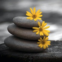 Color Splash Photo pour PC