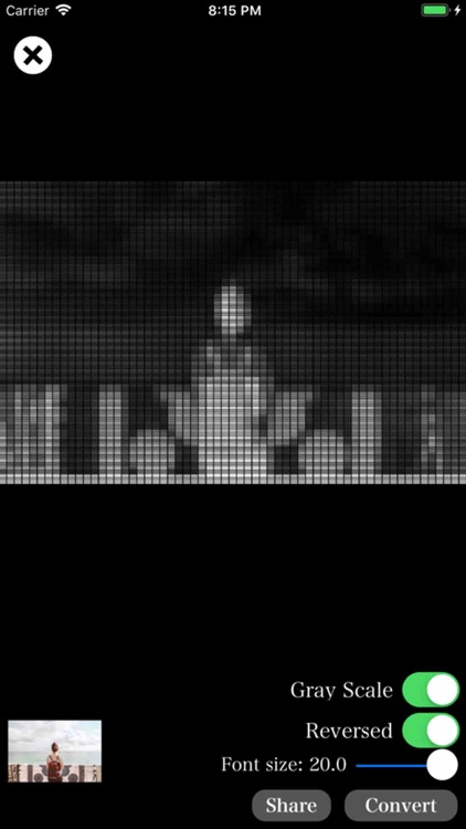 Image Pixeler screenshot-3