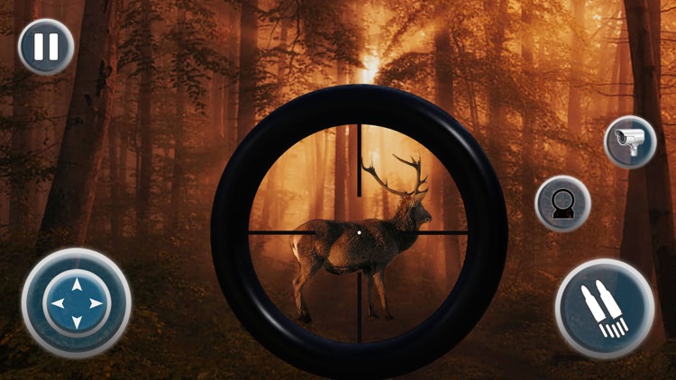 Hunting Bigfoot Monster Hunter