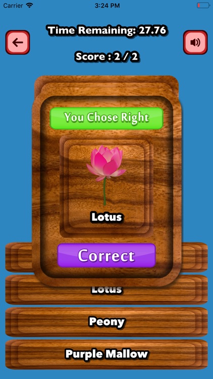 Guess Vegetable Flower English screenshot-3