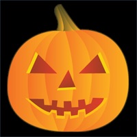 휴일 사진 재미!