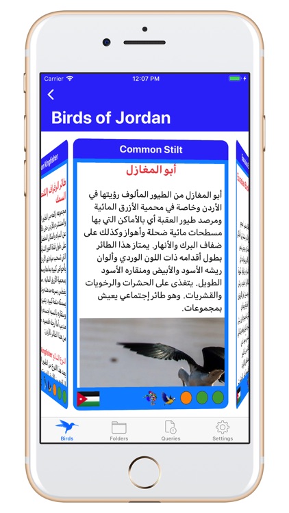 Birds of Jordan H