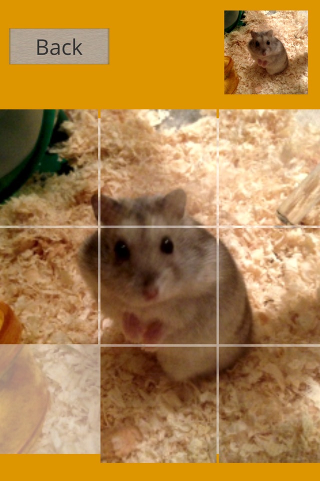 Hamster Slider Puzzle screenshot 2