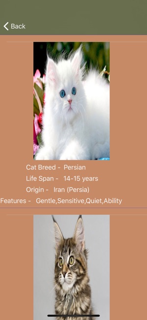 Cat Breeds - Identify your Cat(圖6)-速報App