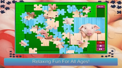 How to cancel & delete Jigsaw Puzzle Forever HD from iphone & ipad 3