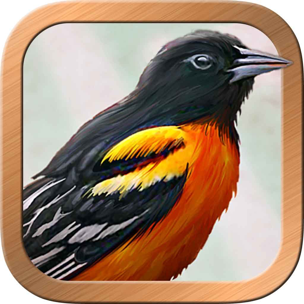 Get Ciro's Gilded Reverie Lennie for iOS, iPhone, iPad Aso Report