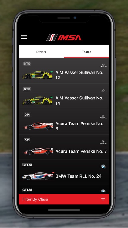 IMSA screenshot-5