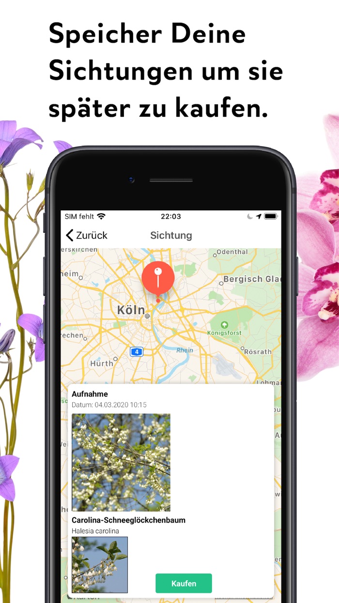 FlowerCam Gartenblumen kaufen