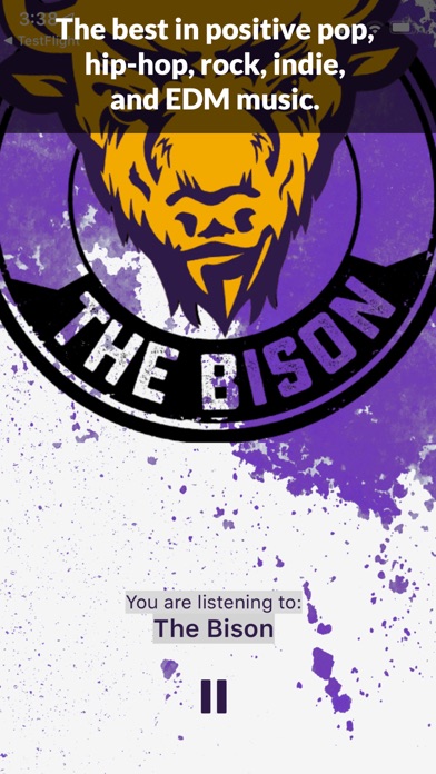 The Bison Radio screenshot 3