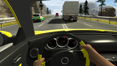 Racing in Car screenshot1