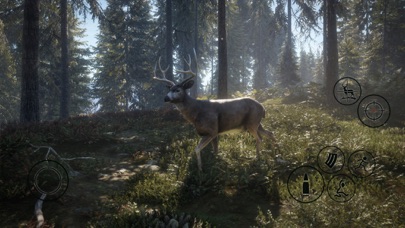 screenshot of HUNTER 2019 8