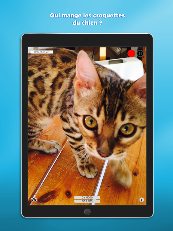 MoveDetect Pro MoveDetect Pro