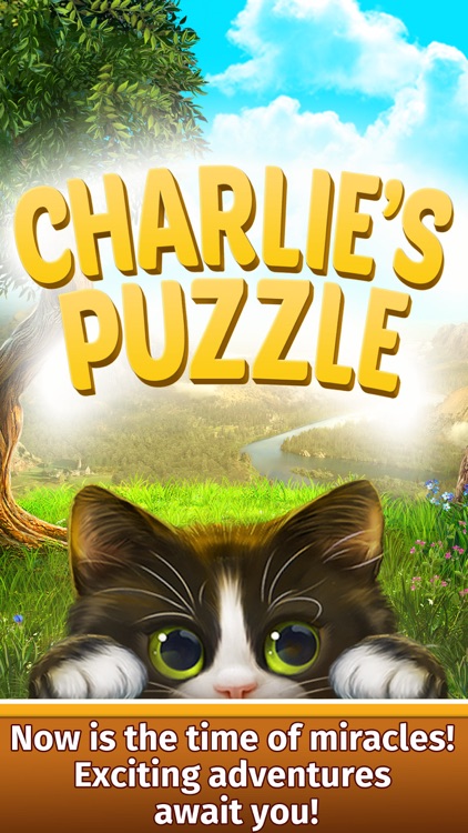 Charlie's Puzzle