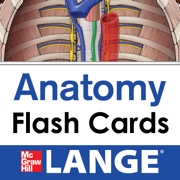 Lange Anatomy Flash Cards
