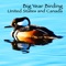 Big Year Birding offers all birders from novice to expert a fast and easy way to record sightings in the field