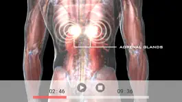 Game screenshot Ice - Your Body Belongs to You apk