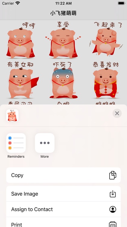 小飞猪萌萌